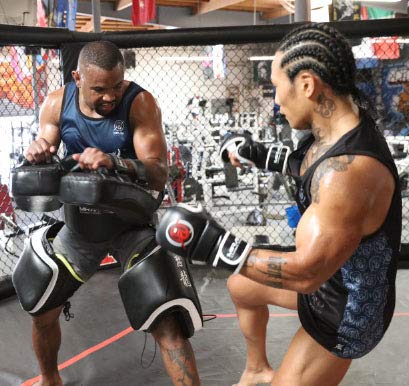 MIRARI® Thai Kick Pads Curved (Pair)