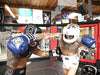 MIRARI® Premium Leather Pro Boxing Head Guard with Nose Bar